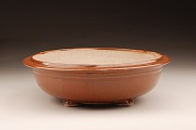 Kaki Glaze