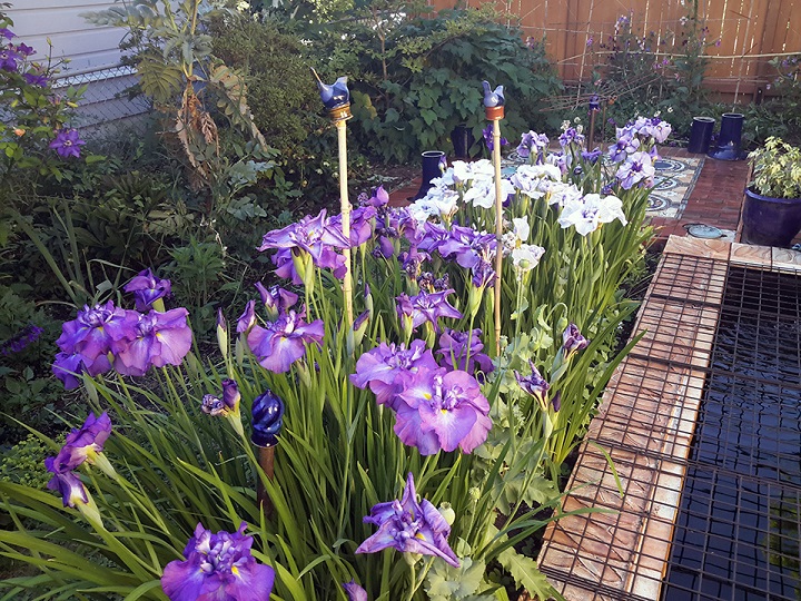 Sixth slide image